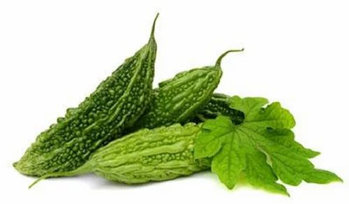 Organic Bitter Gourd