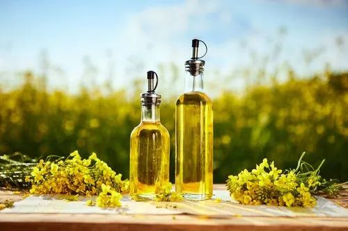 Canola Rapeseed Oil, For Cooking and cosmetic