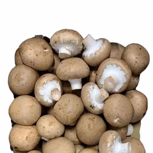 Uttar Pradesh Organic Button Mushroom, Packaging Type: Packet, 4.5 Gm