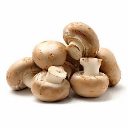 Organic Pan India 500gm Brown Button Mushroom, Packaging Type: Packet, 3.1 Gm Per 100 Gm