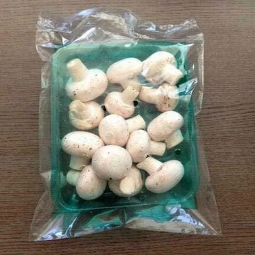 Natural Button Mushroom