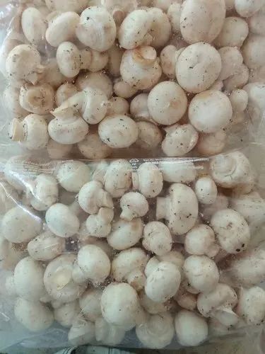 A Grade Pan India Farm Fresh Button Mushroom