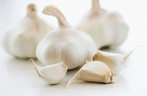 Ooty Organic Garlic