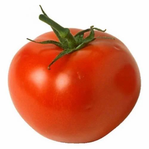 Organic Red Tomato