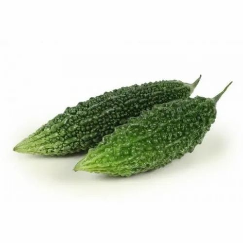 Organic Bitter Gourd, Packaging Size: 5-50 Kg, Packaging Type: Pp Bag
