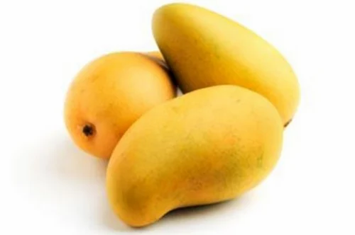 Malgova Mango