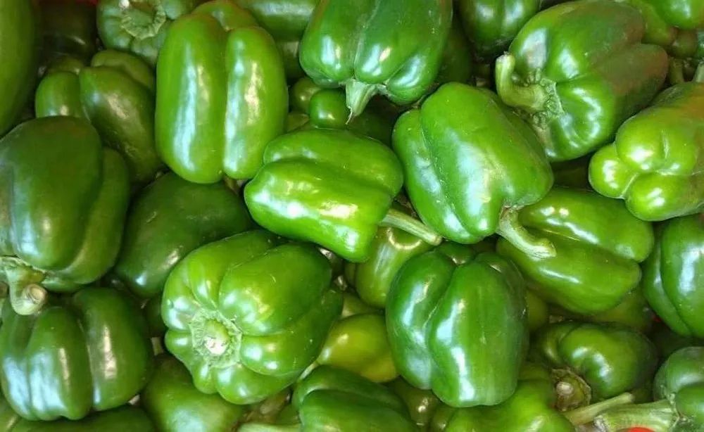 Organic Capsicum