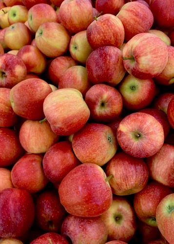 Fresh Apple Fruits