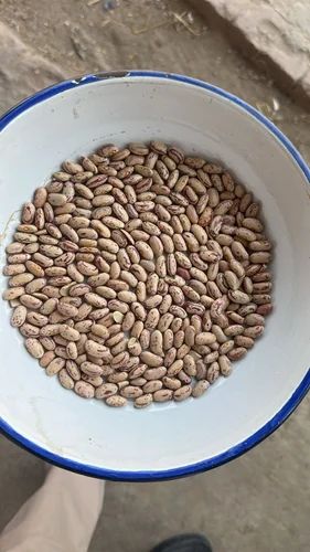 Rajma Chitra, Packaging Size: 30 kg
