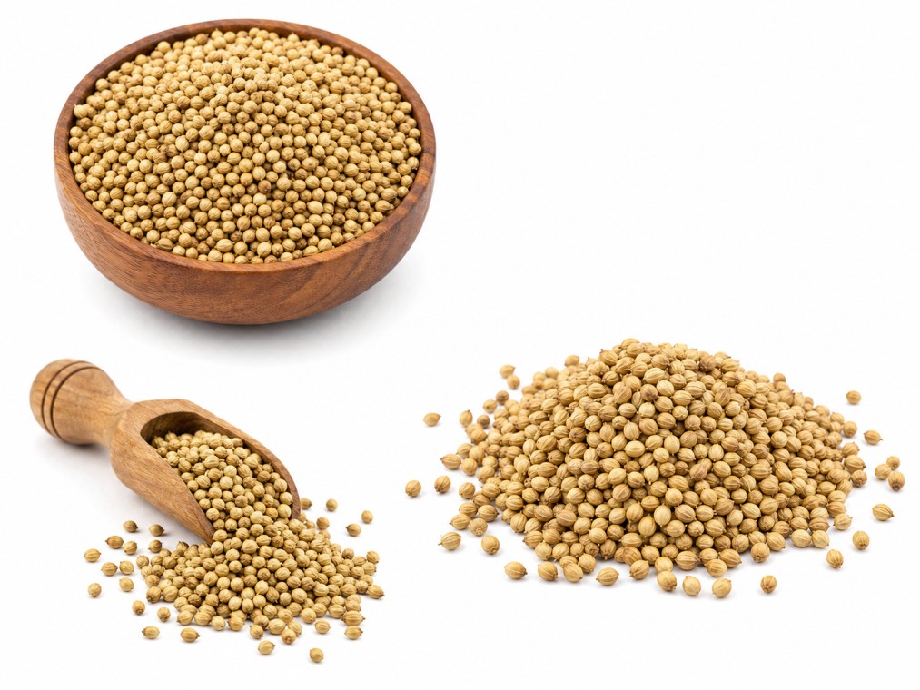 coriander