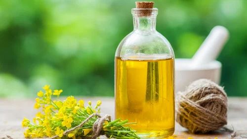 Canola Seed Oil