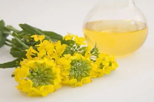 Rapeseed Oil - Low Erucic Acid (1 L)