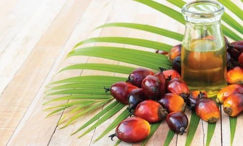 Palm Olein