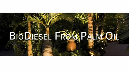 Bio Diesel From Palm Oil
