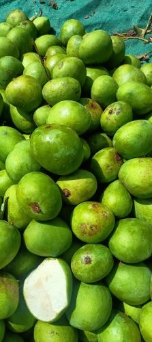 Green Raw Mangoes
