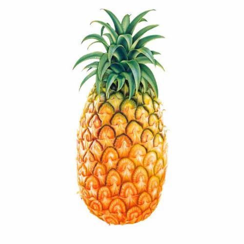 Fresh Queen Pineapple, Packaging Size: Loose