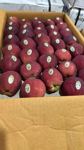 B Grade Shimla Red Apple, Packaging Size: 10 Kg