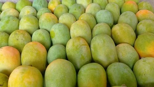 A Grade Dashehari Mango