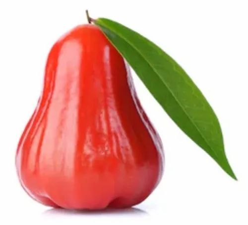 Rose Apple