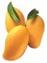 Raw Fresh Mango