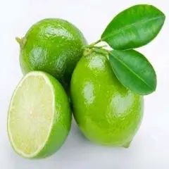 Fresh Green Lime