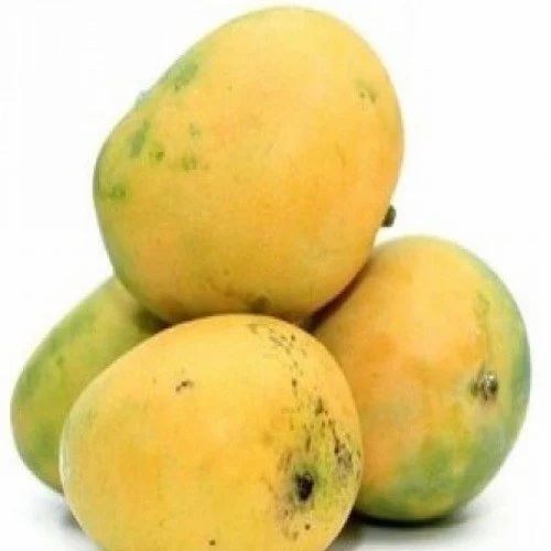 Neelam Mango