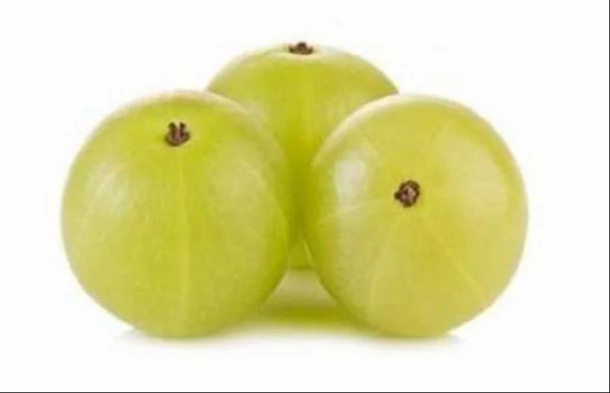 Amla Pulp