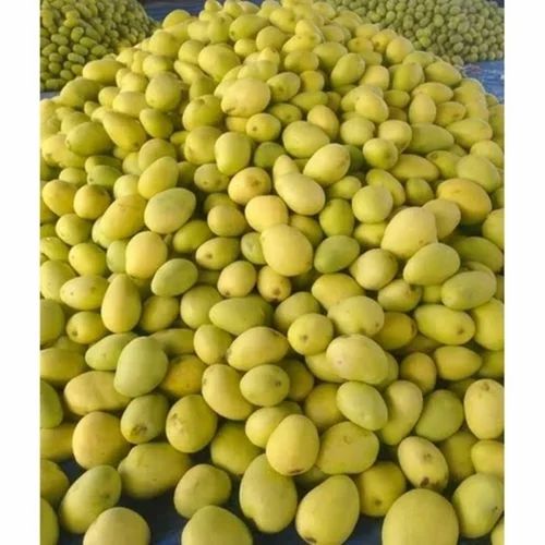 A Grade banginpally Mango export grade