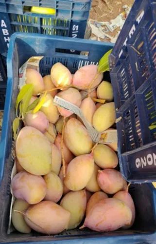 A Grade totapari Mango