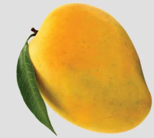 A Grade Neelam Mango
