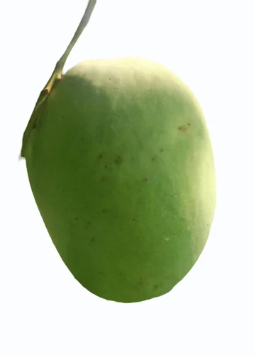 A Grade Langra Mango
