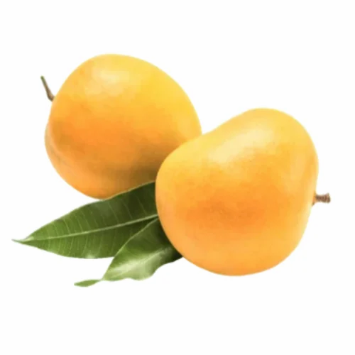 Fresh Mango Fruit