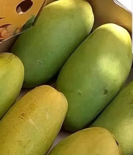 Dasseri Mangoes