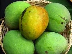Malgova Mango