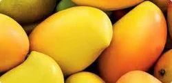 Malgoba- Mango