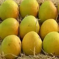 Neelam-Mango