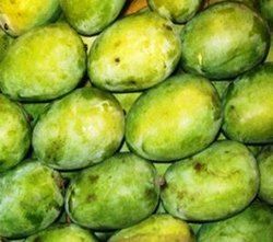 Malgova Mango