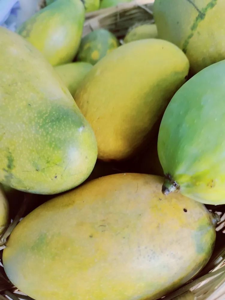 Mallika Mango