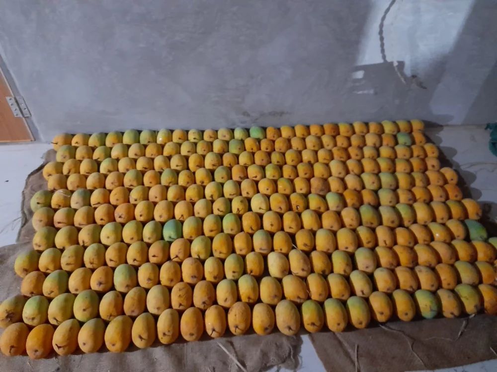 Raspuri Mango
