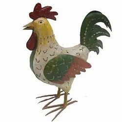 Rooster