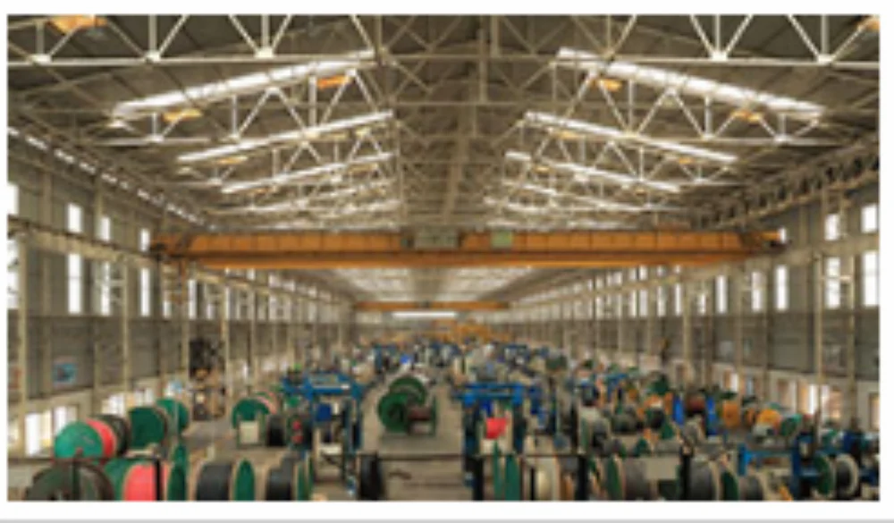 Illumination Through Natural Light At Cables Manufacturing Unit,Vadodara