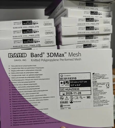 Bard 3d Max Mesh