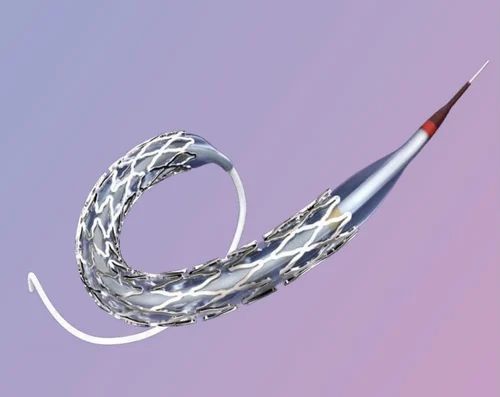 Drug Eluting Coronary Stents