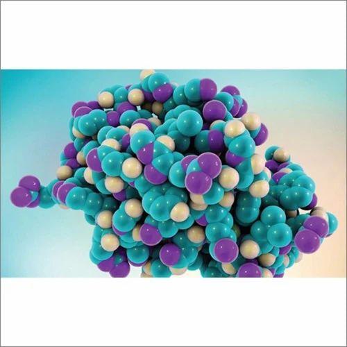 Lysozyme Enzyme Product