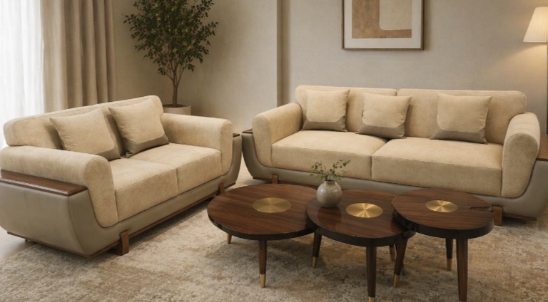 Modern Contemporary Sofa Set