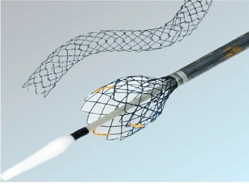 Biliary Stent, Model Name/Number: Ems