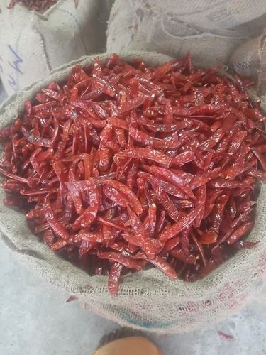 Red Chilli, Teja (S17)