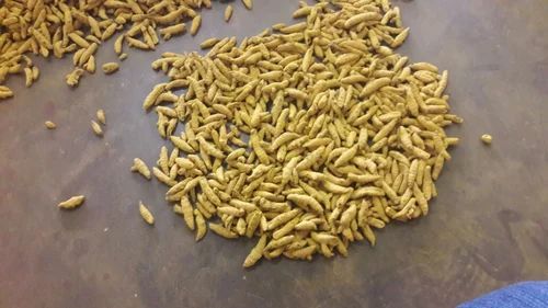 Dried Turmeric Finger, 1 Kg