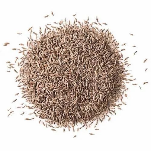 Shah Jeera Caraway Seeds