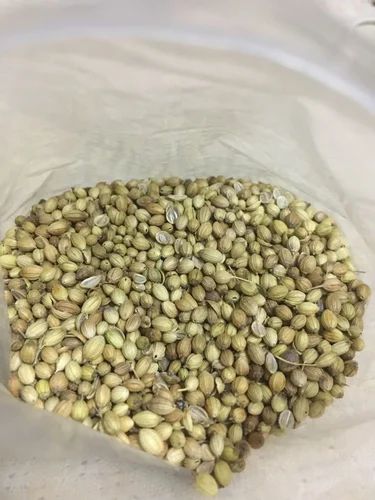 Green Organic Coriander Seed, Packaging: Packet, Packaging Size: 200g